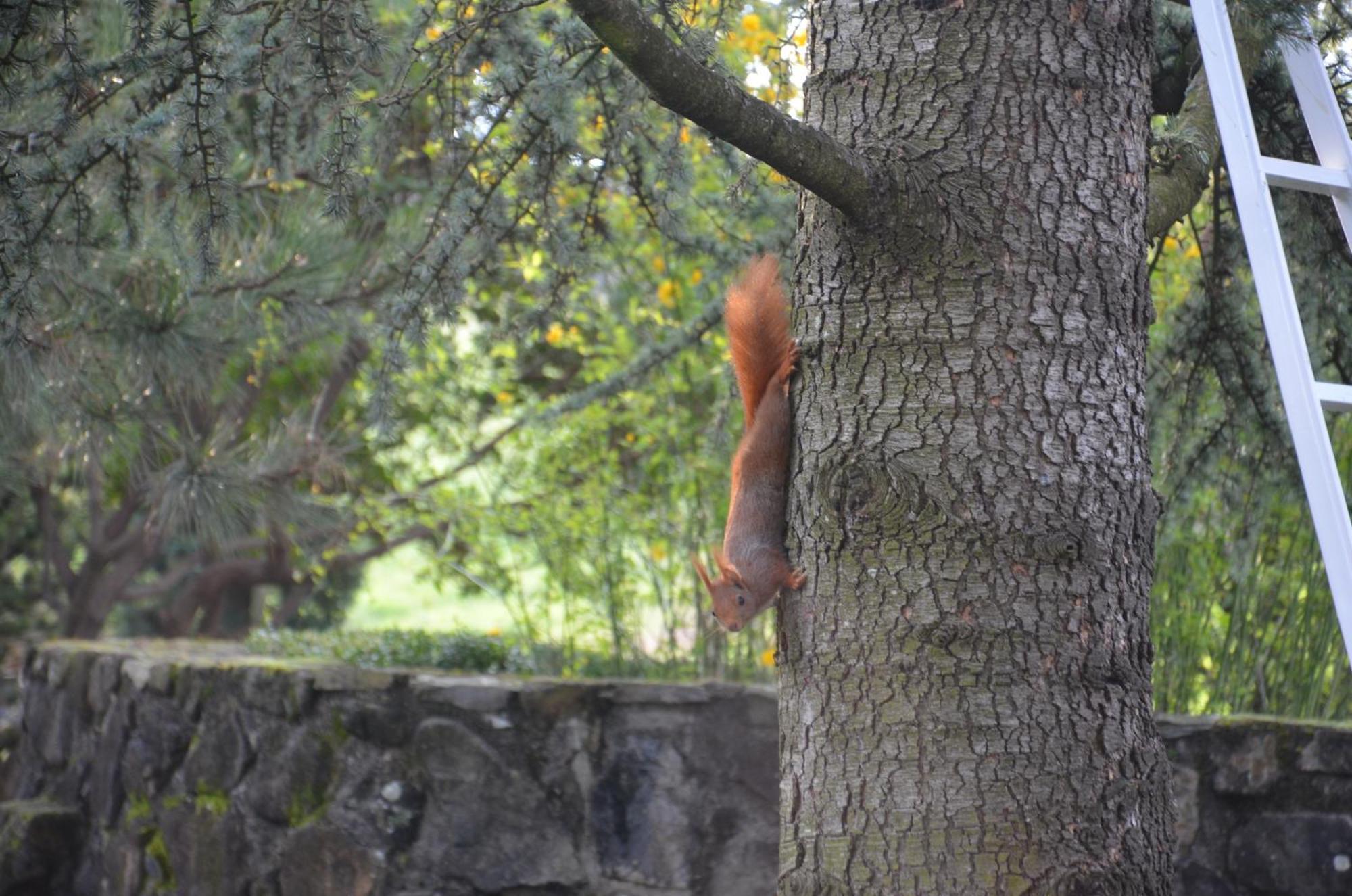 Domaine Insolite Du Petit Moras Chomérac Exterior foto